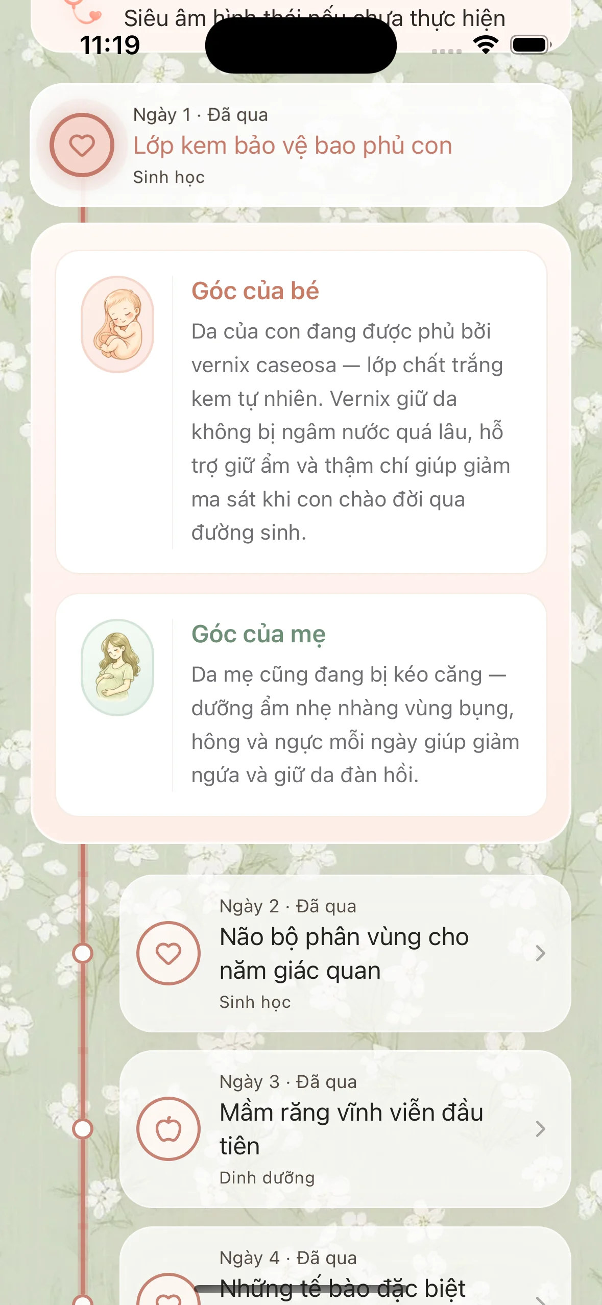Mama Journey – nội dung Daily