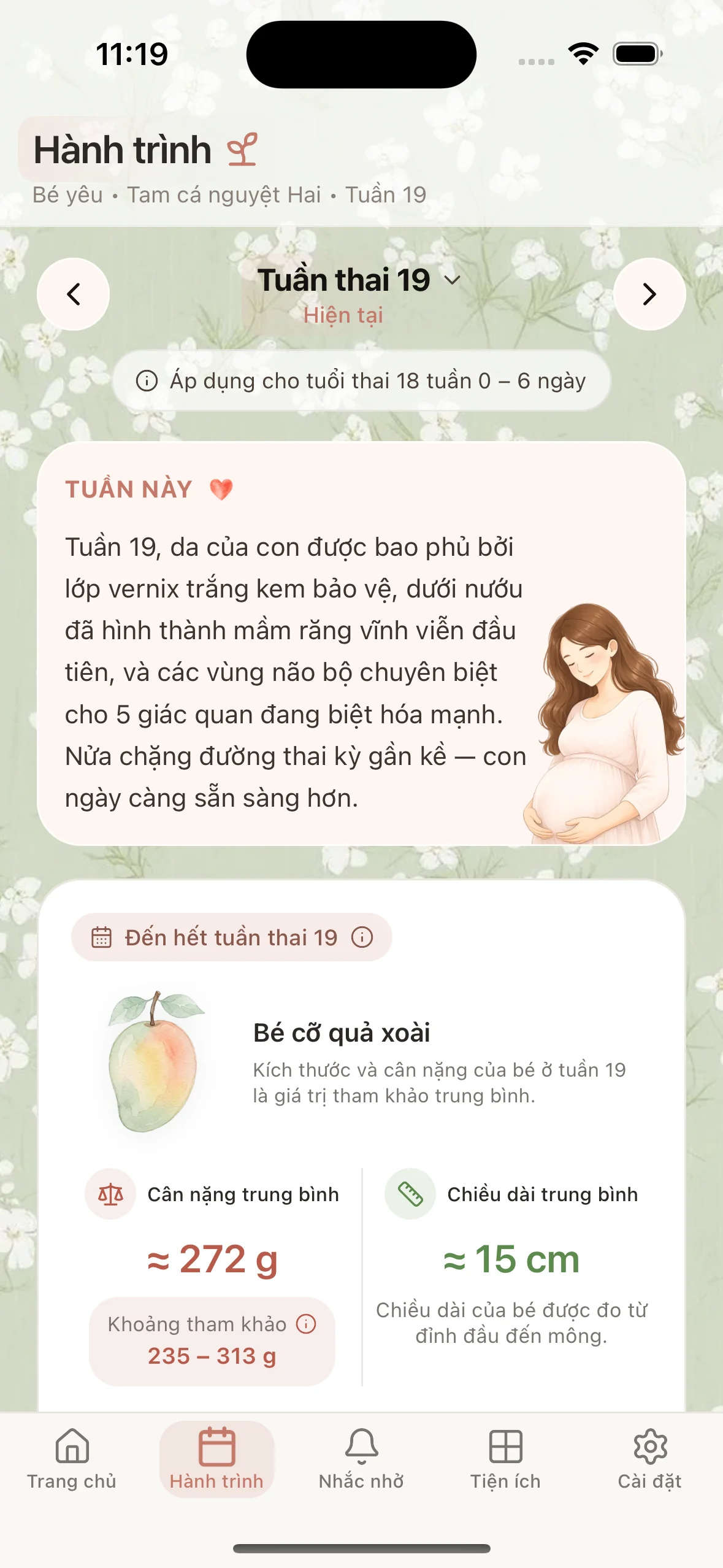 Mama Journey – hành trình thai kỳ theo tuần